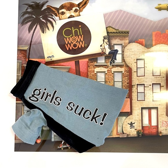 Chi WOW WOW® Other - VINTAGE OOAK Tee Girls Suck!